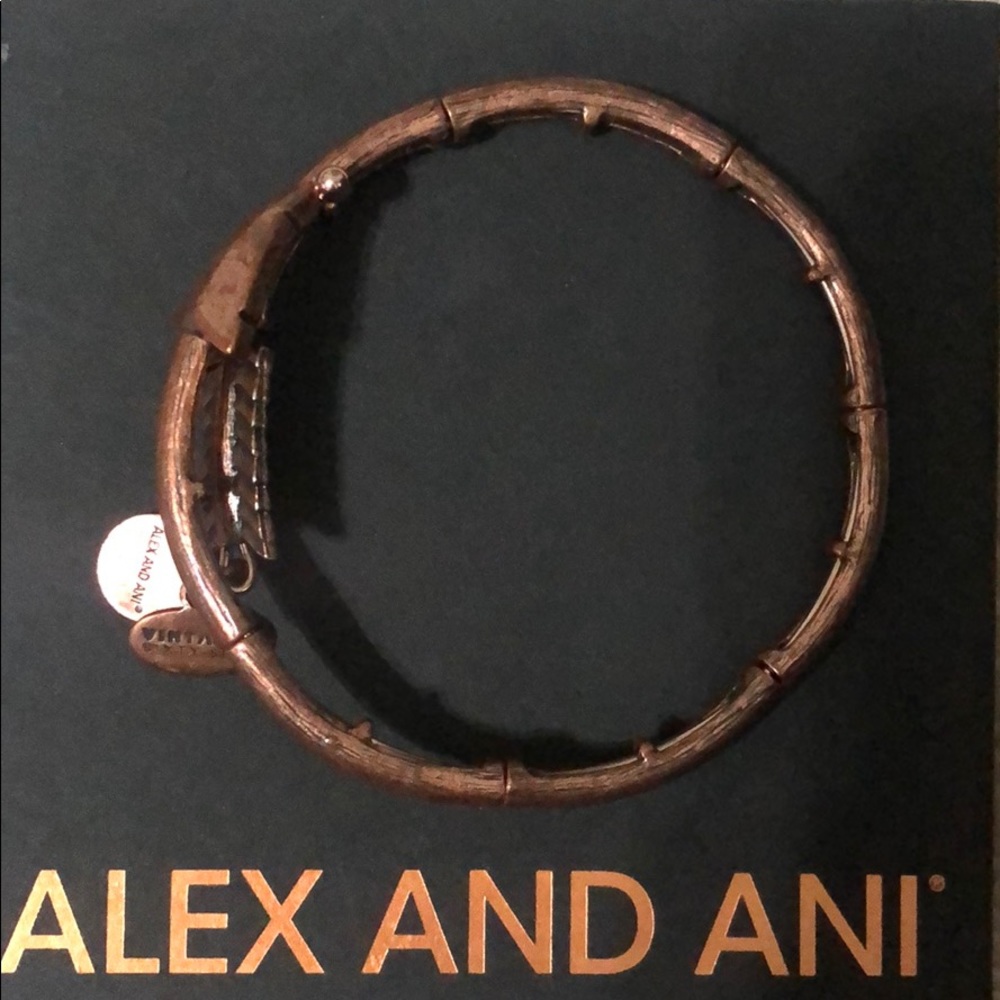 Alex and Ani bracelet